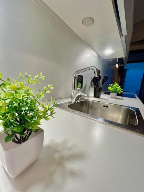 Residence Zar 8 トリエステ エクステリア 写真