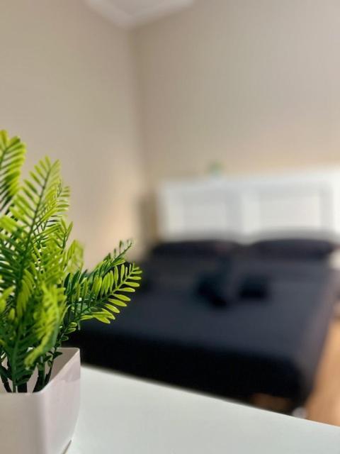 Residence Zar 8 トリエステ エクステリア 写真